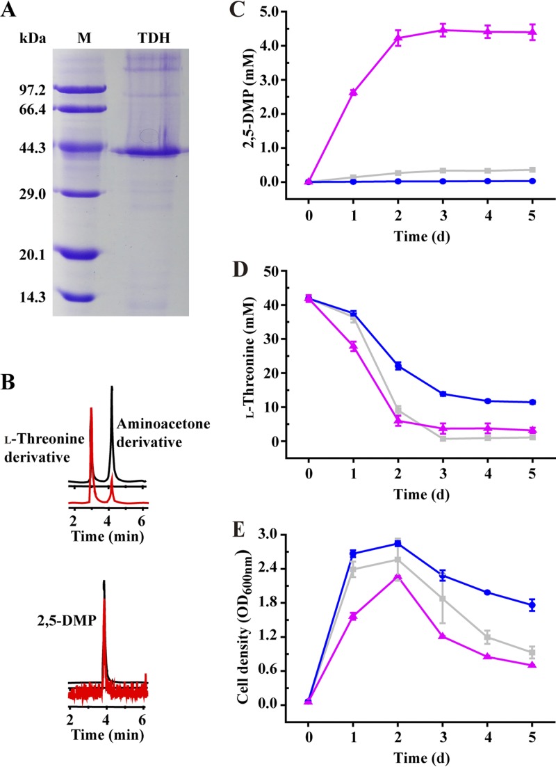 FIG 2