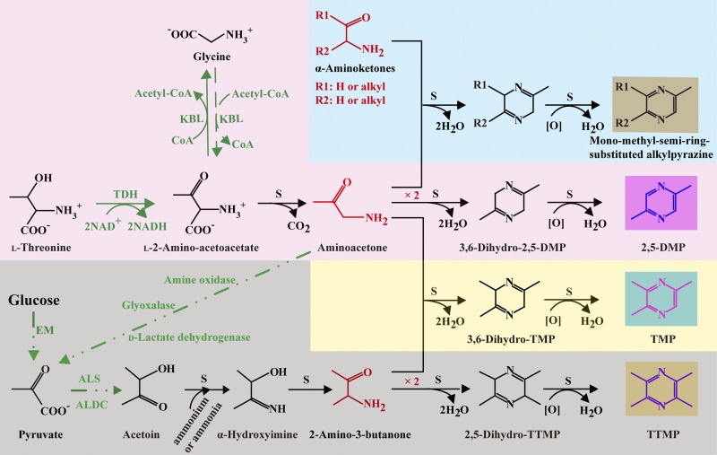 FIG 6