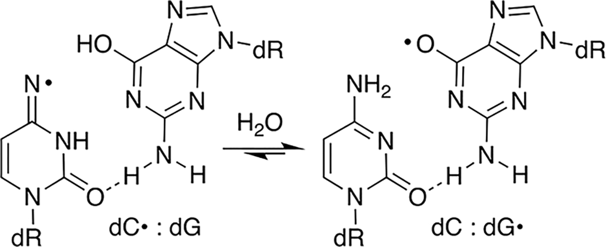 Scheme 6.