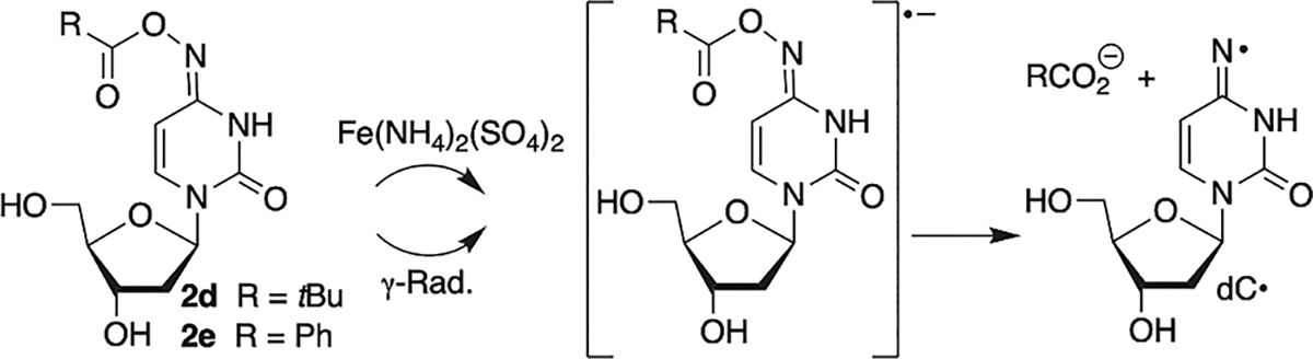 Scheme 4.