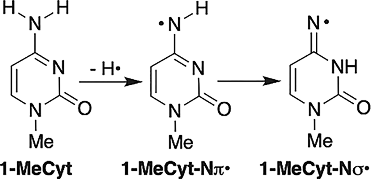 Scheme 3.