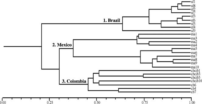 FIG. 3.