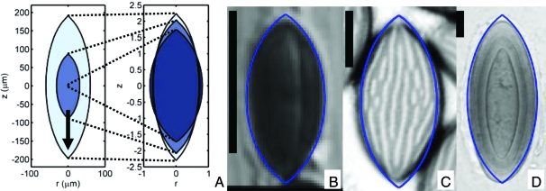 Fig. 1.