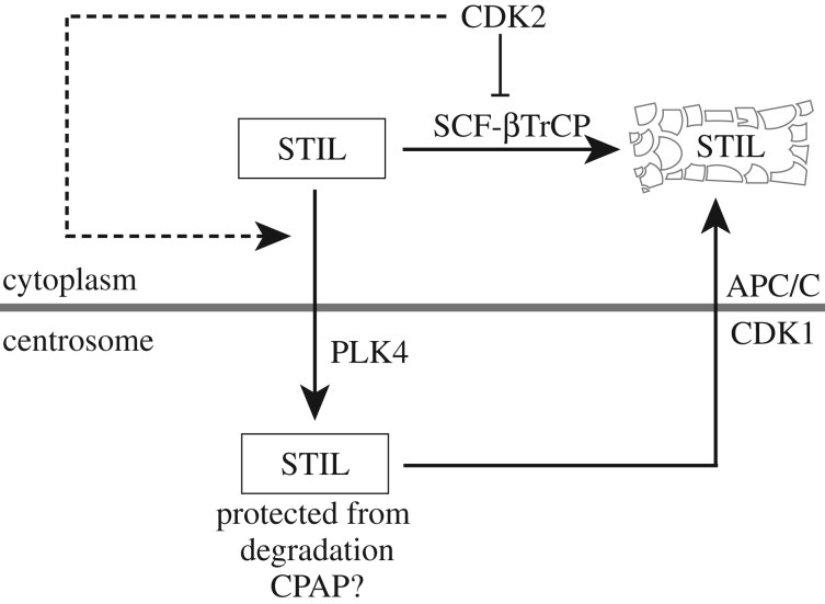 Figure 7.