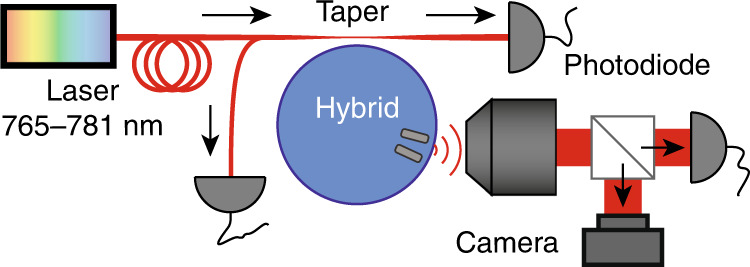 Fig. 4