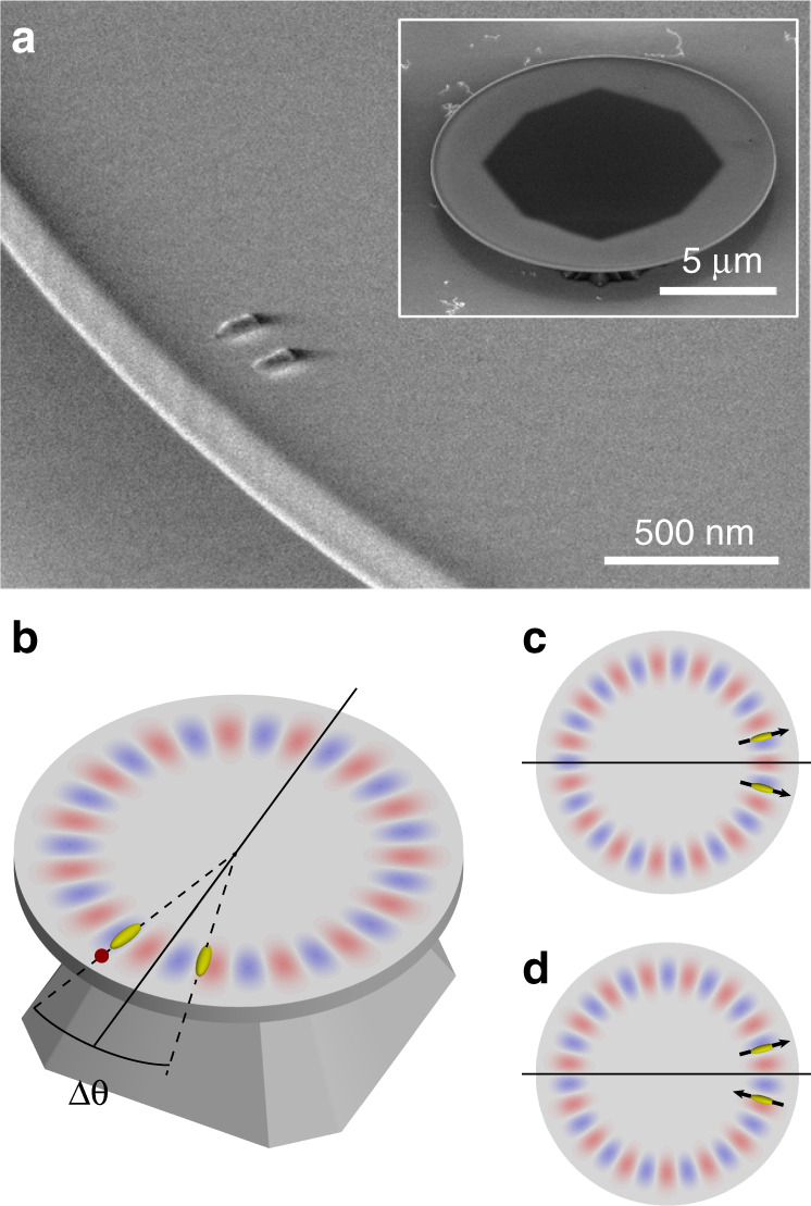 Fig. 1