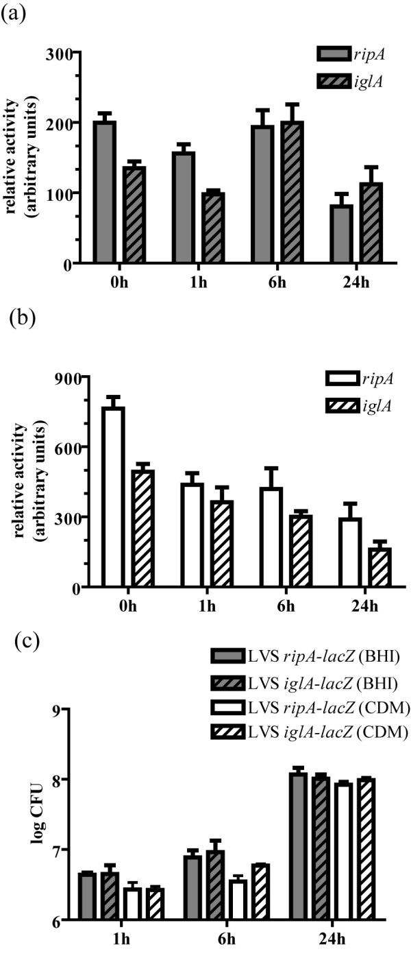 Figure 7