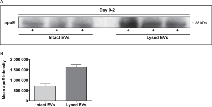 Fig.7