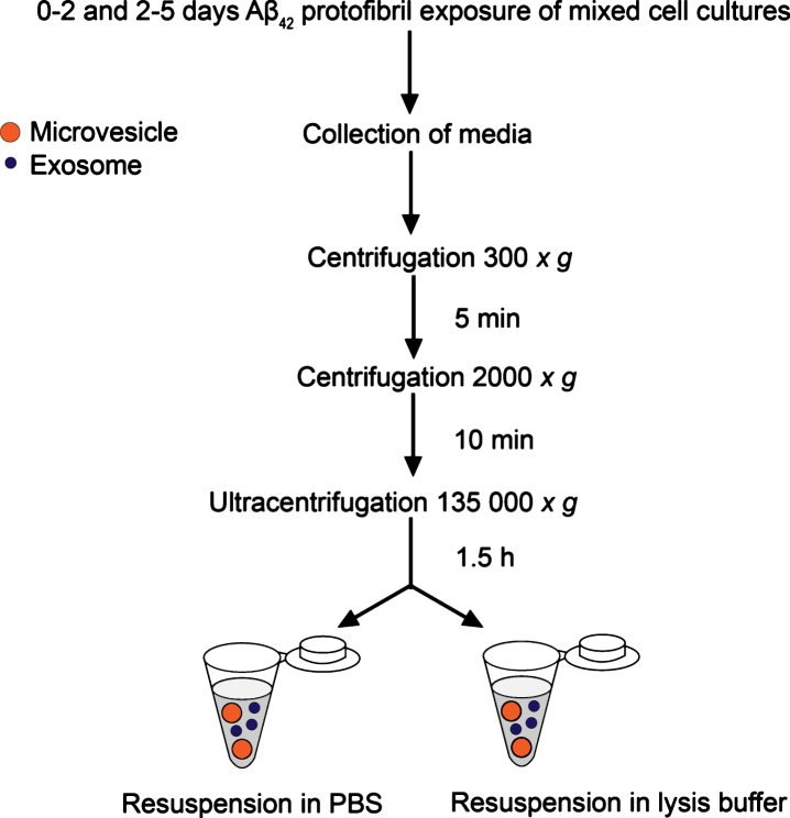 Fig.1