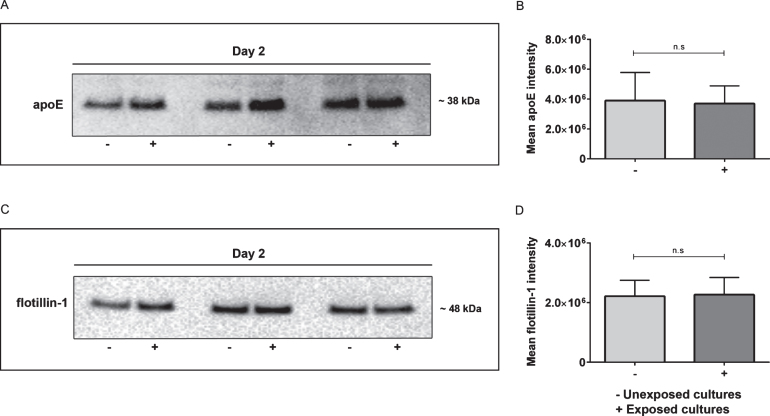 Fig.9