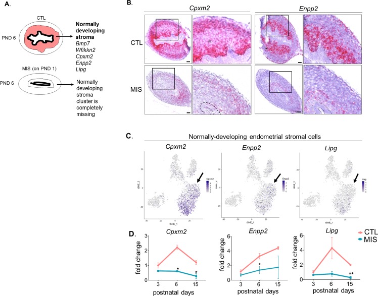 Figure 4—figure supplement 2.