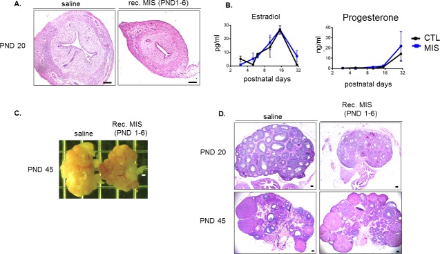 Figure 5—figure supplement 1.