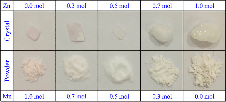 Fig. 1