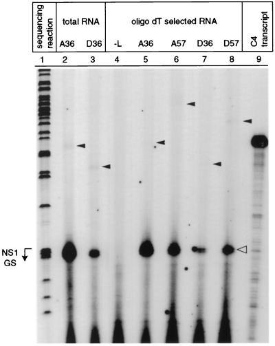 FIG. 6