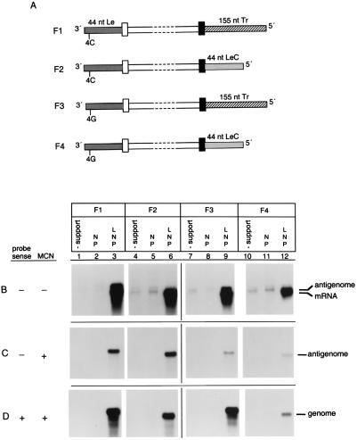 FIG. 8