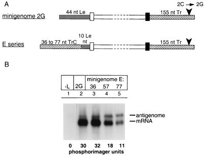 FIG. 7