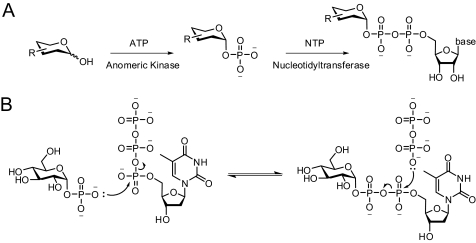 FIGURE 1.