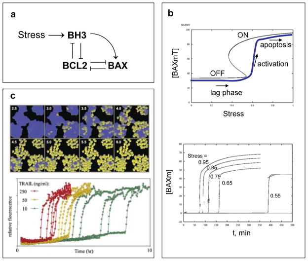 FIGURE 3