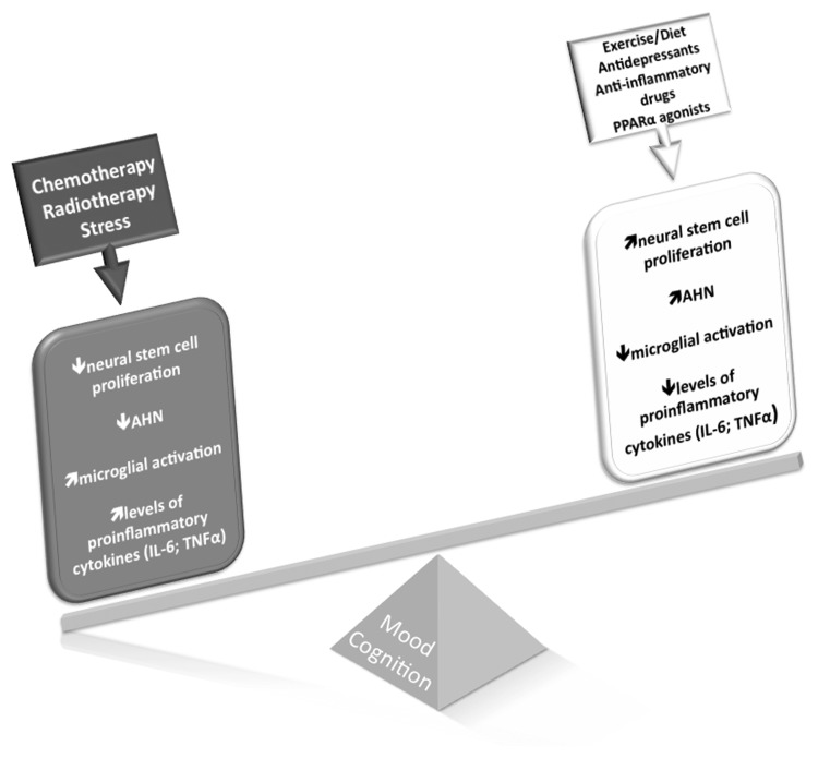 Fig. 2.