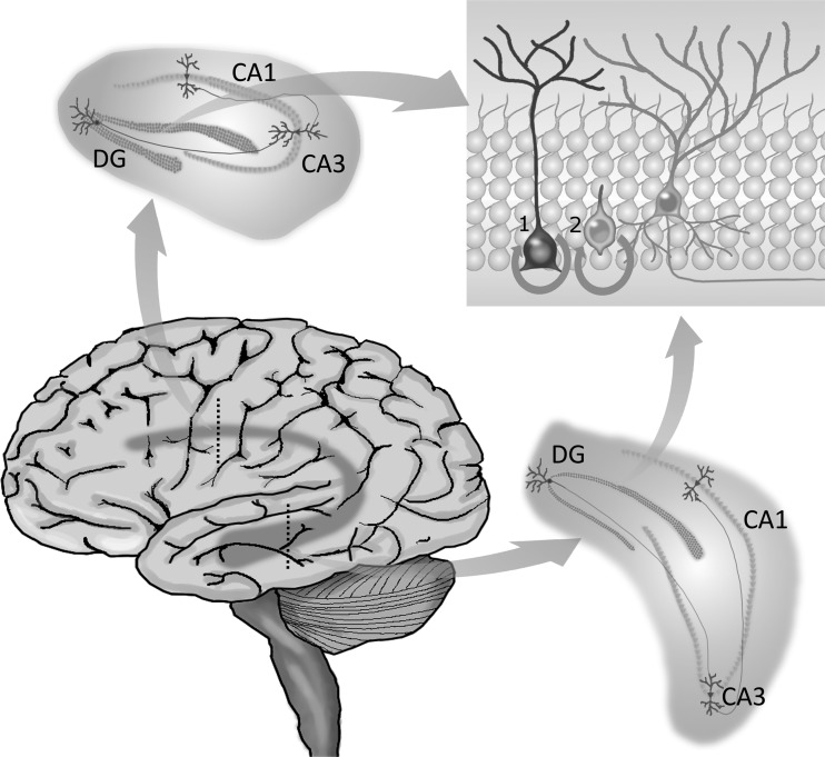 Fig. 1.