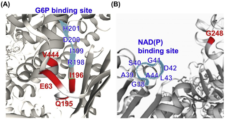 Fig. 4