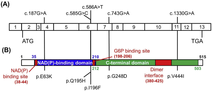 Fig. 3