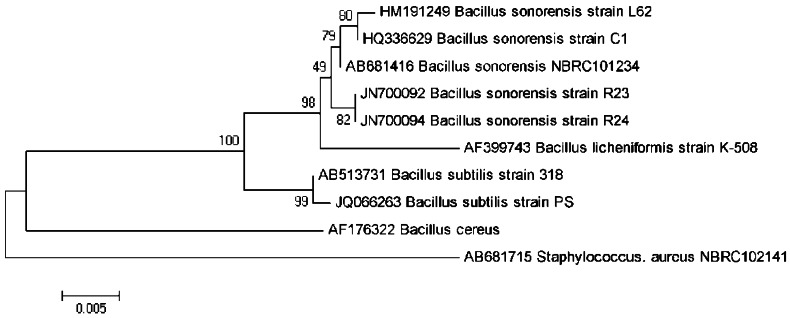 Figure 2.