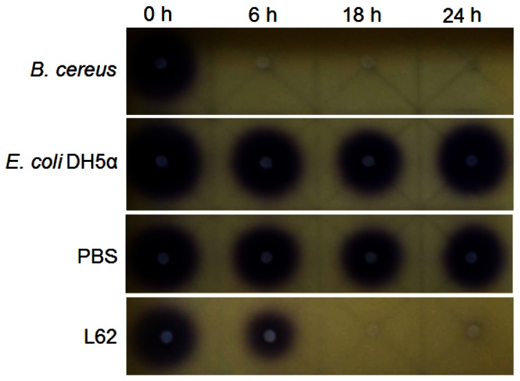 Figure 3.