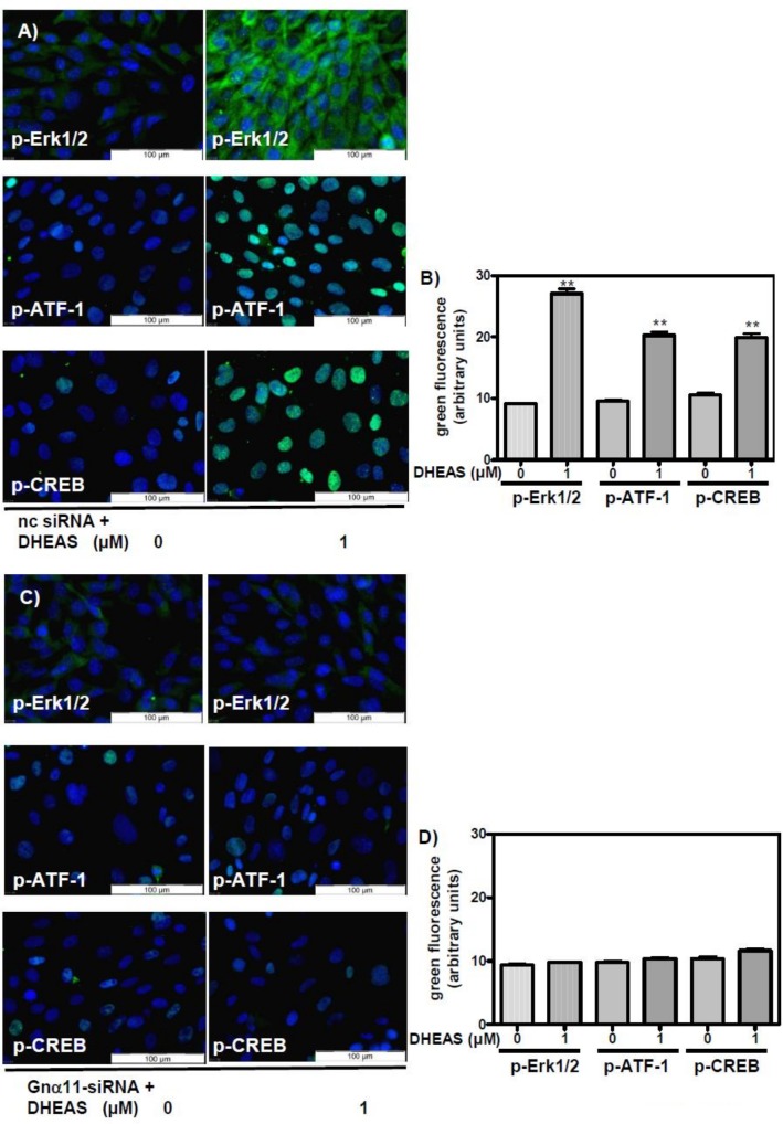 Fig 10