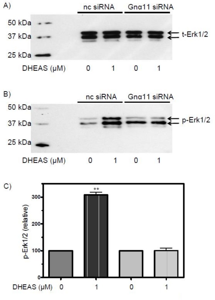 Fig 11