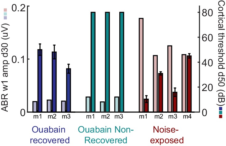 Figure 3—figure supplement 1.