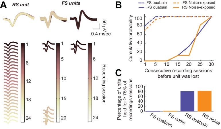 Figure 1—figure supplement 1.