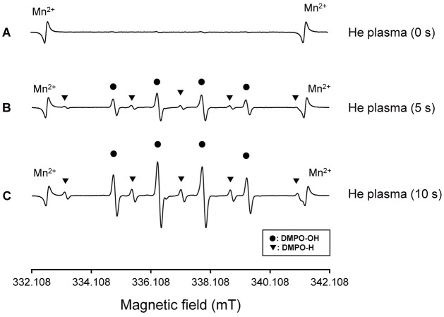 Fig 8