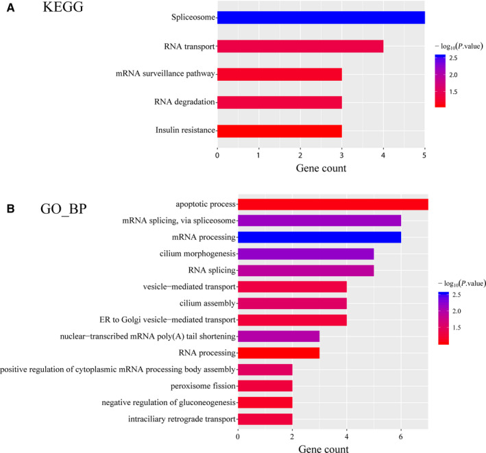 FIGURE 4