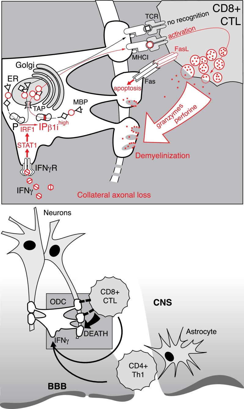 Figure 7.