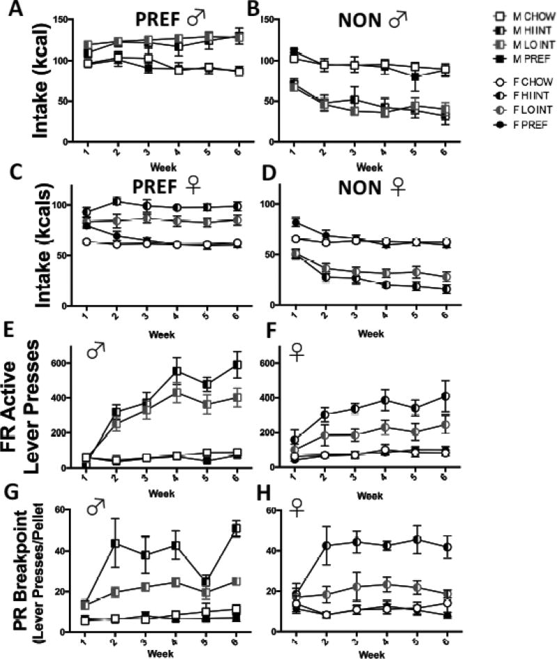 FIG 6