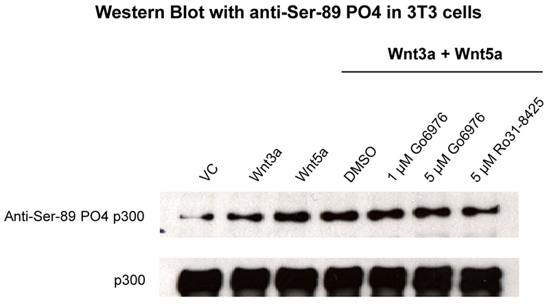 Fig. 9.