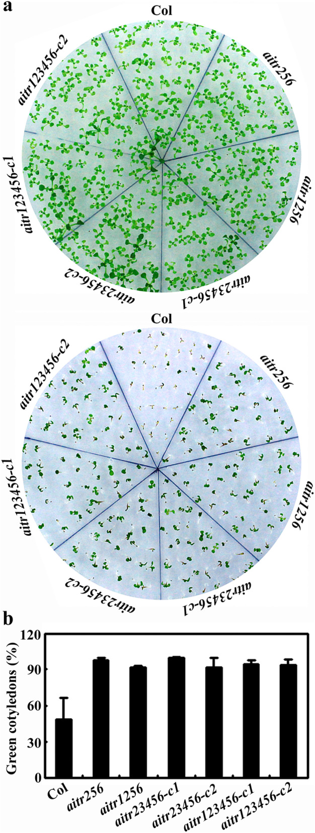 Fig. 3