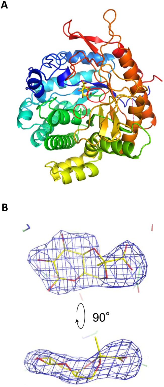 Figure 6