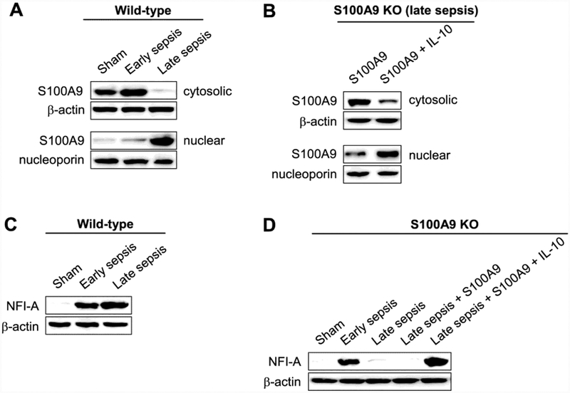 Figure 5: