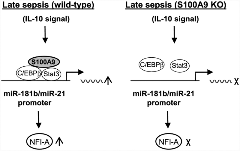 Figure 7: