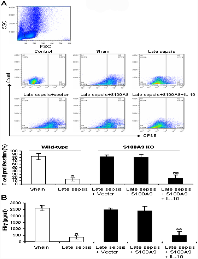 Figure 6: