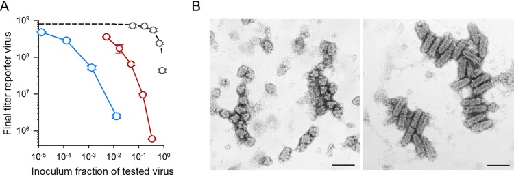 FIG 3