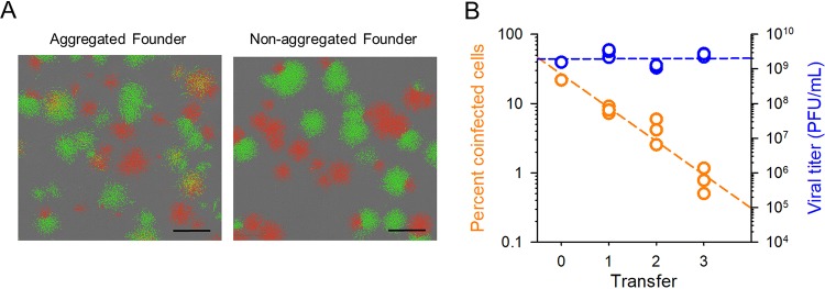 FIG 1