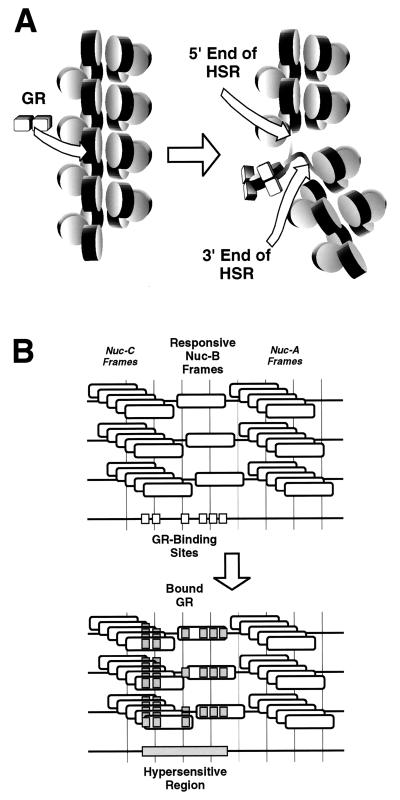 FIG. 7