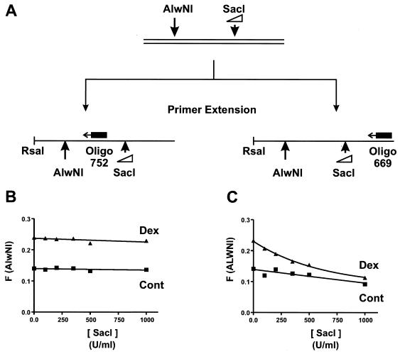 FIG. 6