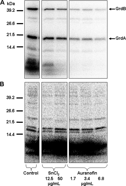 FIG. 5.