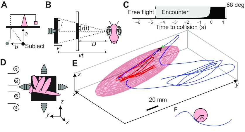 Fig. 1.