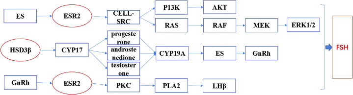 Figure 13