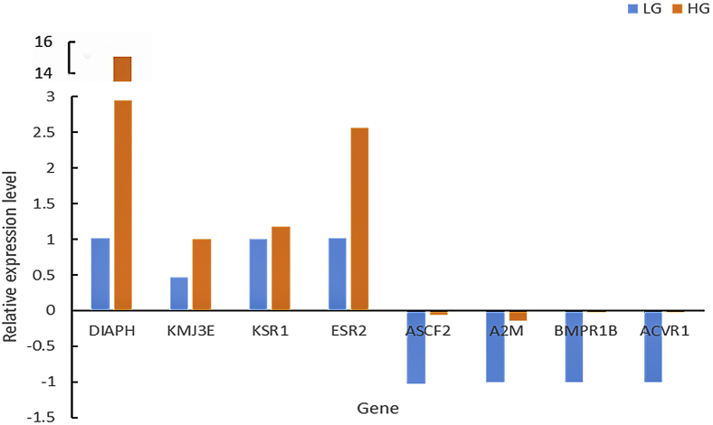 Figure 14